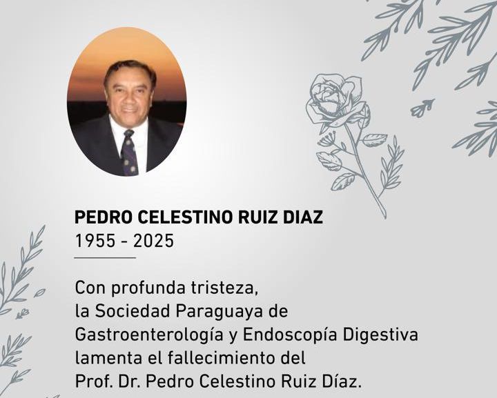 Participación
